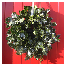 Christmas Wreath